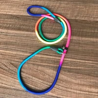 rainbow p chain dog belt pet traction for small medium dogs the dog leash is lightweight and easy to carry pet supplies