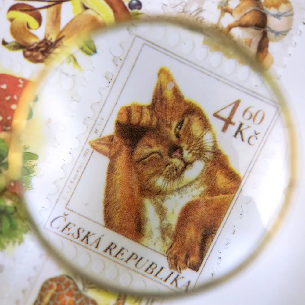 Ленты для скрапбукинга в стиле ретро 8 видов конструкций | Канцтовары офиса и дома