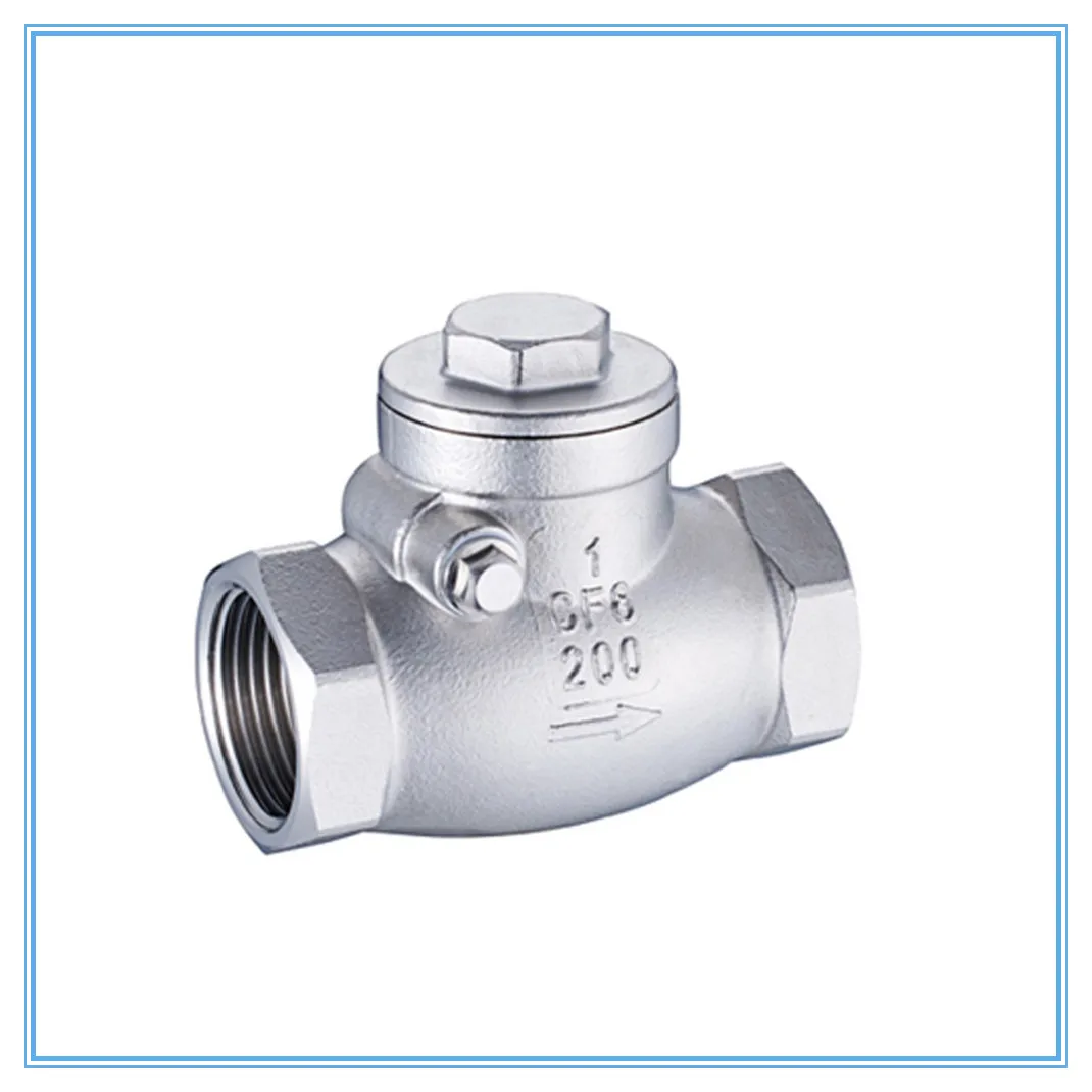 

Stainless steel wire mouth horizontal non-return valve 304 stainless steel female thread swing check valve