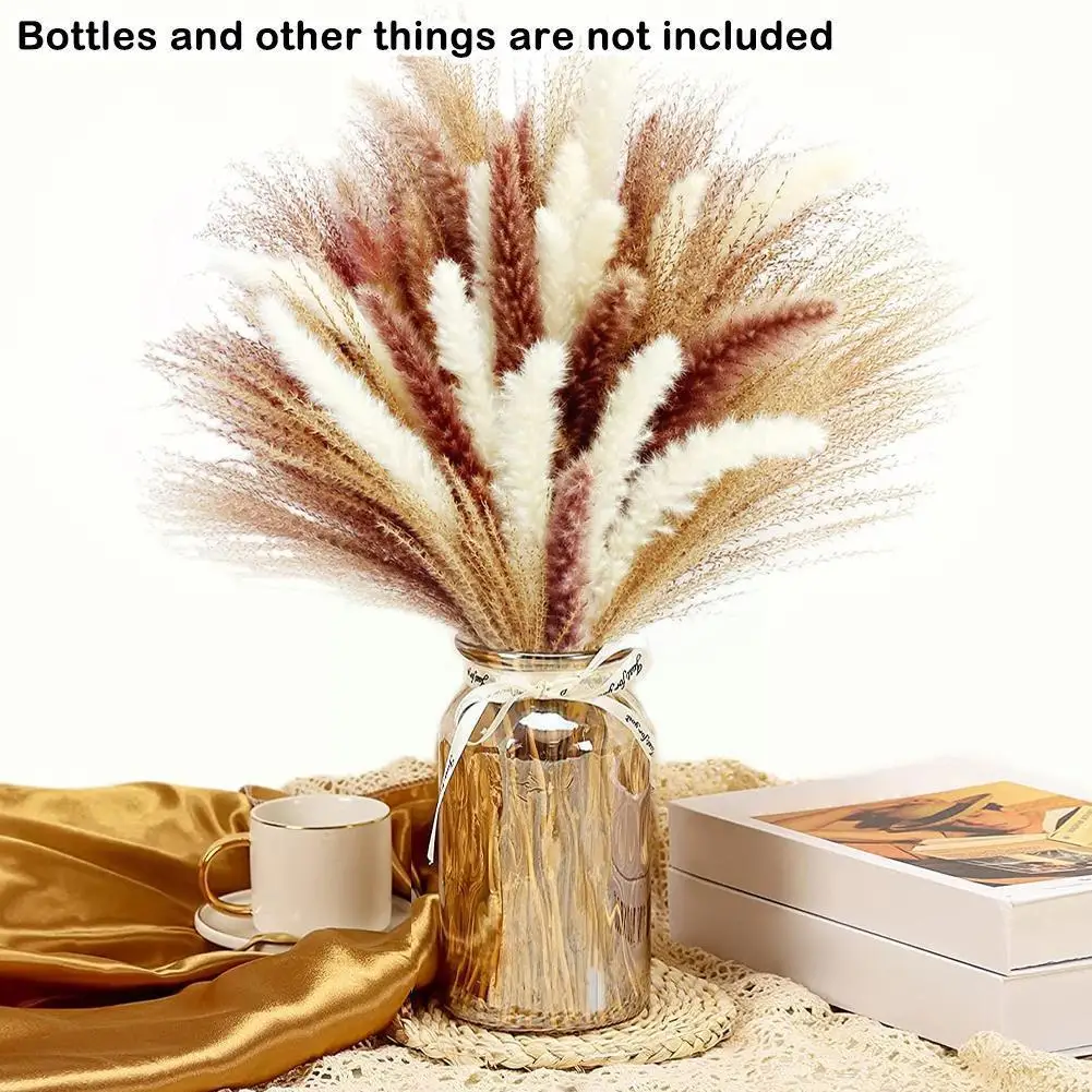 

60pcs Dried Pampas Grass Set Flowers Panpas Artificiales Para Decoracion Home Decor Wedding Decoration Vases Artificial Pla E3O5