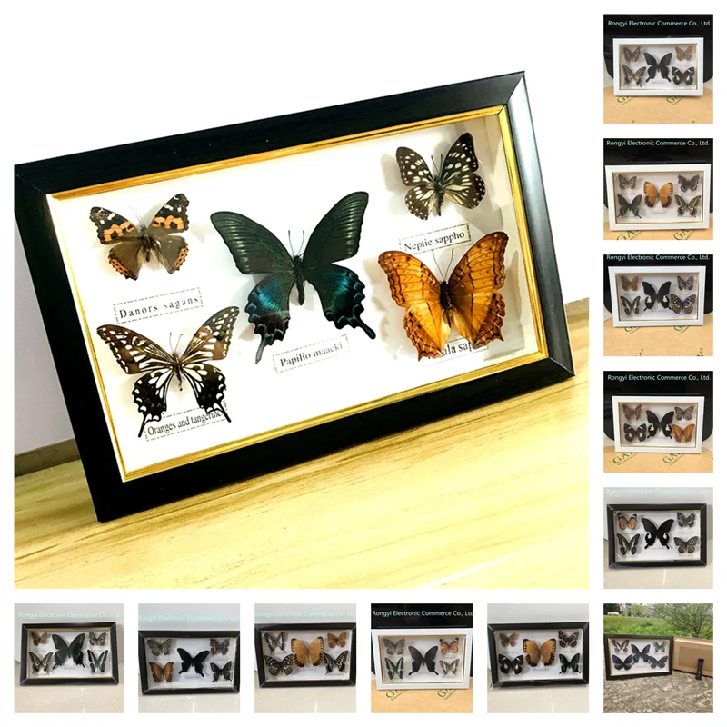 

Beautiful Butterfly Specimen Educational Material Collection/Butterfly Specimen Photo Frame Artwork Decoration Home Decoration
