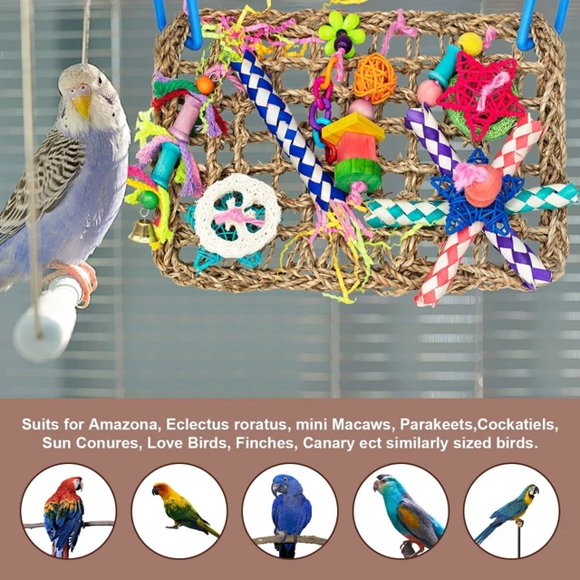 Bird Climbing Toys Climbing Nets For Parrots Rope Ladder Chew Toys Bird  Accessories For Cages Lovebird Cockatiel Conure Budgie - AliExpress