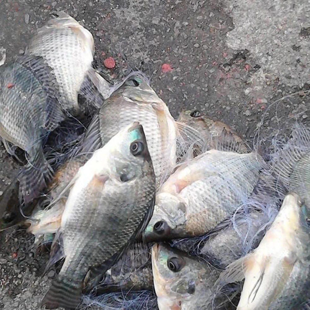 Рыболовная сеть для ловли рыбы Finefish нейлоновая американские литые сети