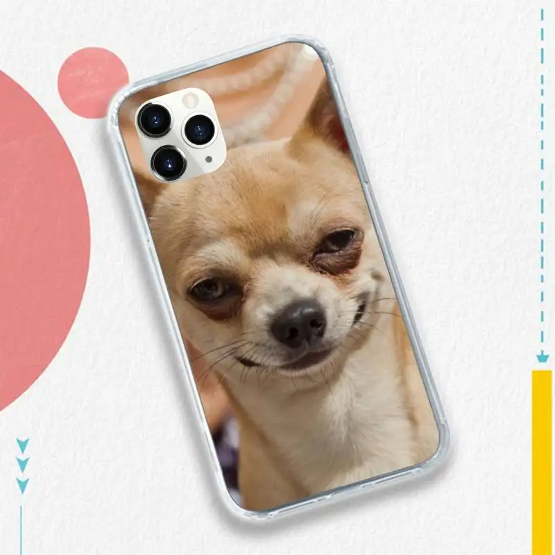 

Chihuahua dog funny cute animal high quality Phone Case funda for iPhone 11 12 pro XS MAX 8 7 6 6S Plus X 5S SE 2020 XR
