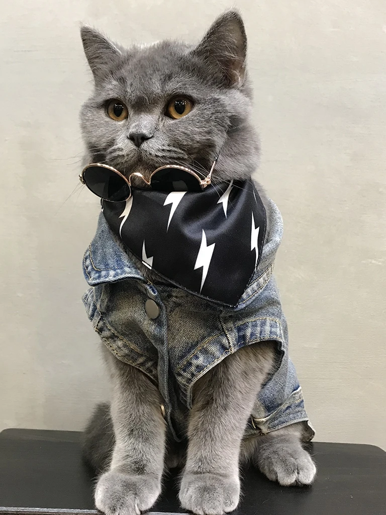 Симпатичные Pet джинсовый костюм для собаки кошки одежда домашних питомцев Кошки
