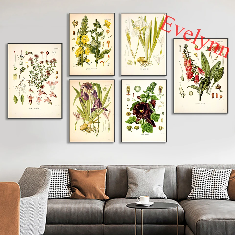 

Botanical Poster Set Of 6 Flowers,Botanical Prints Wildflower,Floral Wall Art,Vintage Garden Poster,Victorian Garden Print Frame