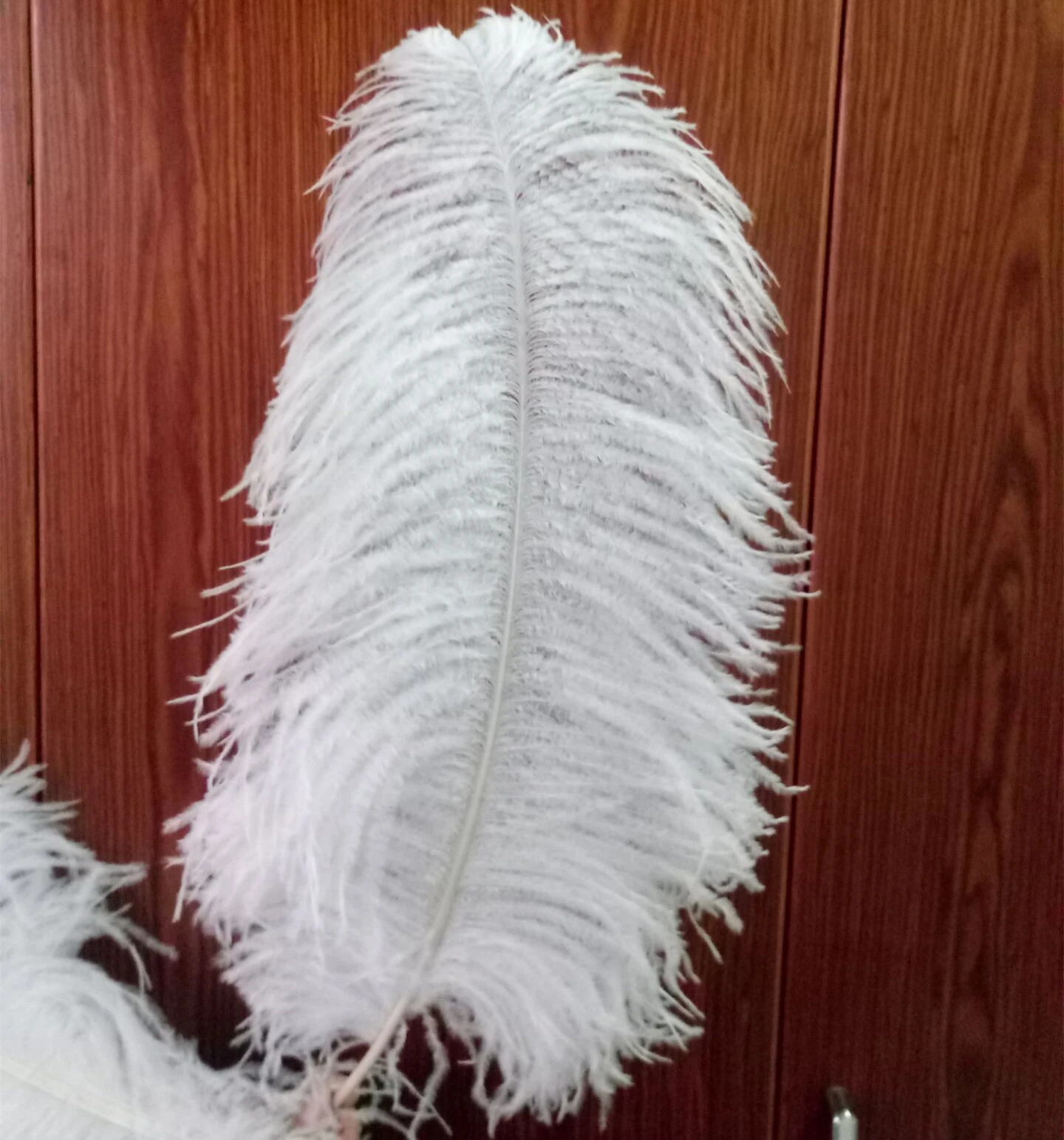 10 шт./Лот элегантные белые страусиные перья 10-75 см | Дом и сад