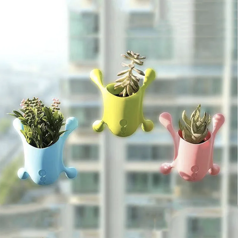 

Creative Wall Hanging Flowerpot Multi Meat Hydroponic Flowerpot Plastic Lovely Frog Multifunctional Small Chlorophytum Basin