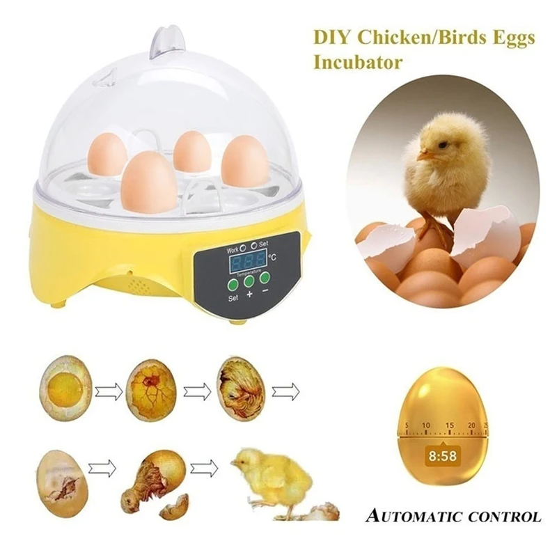 

Практичный домашний мини-инкубатор с контролем температуры для 7 яиц, автоматический инкубатор с постоянной температурой для цыплят, уток, ...