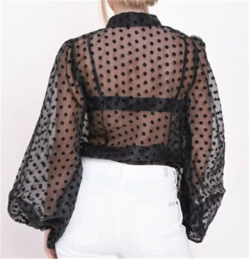 

2019 See through Women Lace Mesh Sheer Blouses Big Long Lantern Sleeve Polka Dot Shirts Fashion Lady Turn-down Collar Shirts