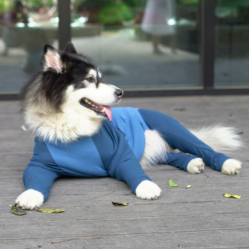 Pet Dressing Supplies Clothes High Elasticity Anti-Hair Falling Big Dog Four-Legged Jumpsuit Blue/Purple Powder | Дом и сад