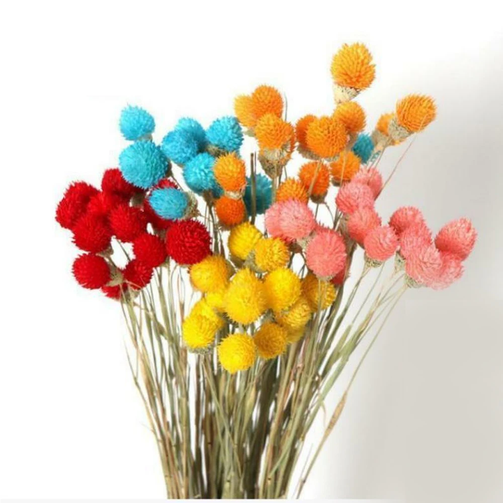 

15pcs Colorful Natural Dried Flower Bouquet DIY Beautiful Decor Party Gomphrena Globosa Artificial Flower Strawberries Grass
