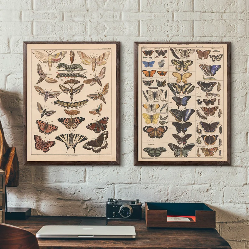 Винтажный постер Buttferfly пчелы насекомые птицы шлейф перья яйца настенная Картина