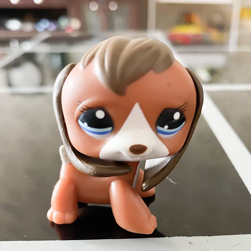 

Lps Dogs Pet Shop Collection Figure Collie 5CM Dog spot Squirrel Animals Toys For Children Christmas Kid Gifts Y21102902