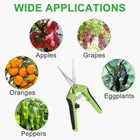 Садовые инструменты, секаторы, бонсай, металлический инструмент для подрезки, ручной резак, виноград, фрукты, собирание сорняков, домашний горшечный инструмент