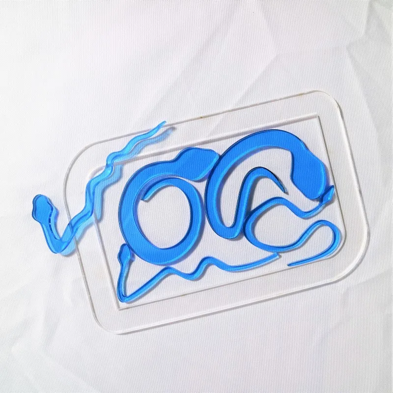 

Transparent Acrylic Jigsaw Board Jigsaw Puzzle Brain Teaser for Children Adults Montessori Educational Toys Clever Board for Kid