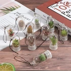 DIY подвеска в виде растения-суккулента, кактус, миниатюрный, кактус, Террариум, живой, случайный стиль, домашний декор, 2,5*5 см