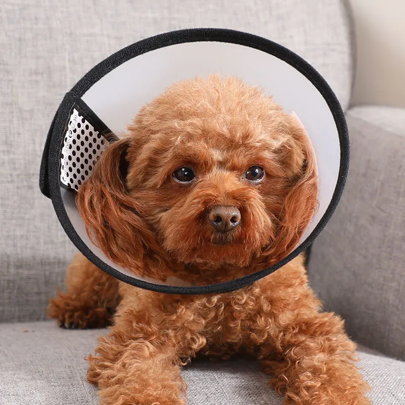 

Pet protective cover collar anti-bite protection to prevent the dog cat from biting the neck pet grooming headgear