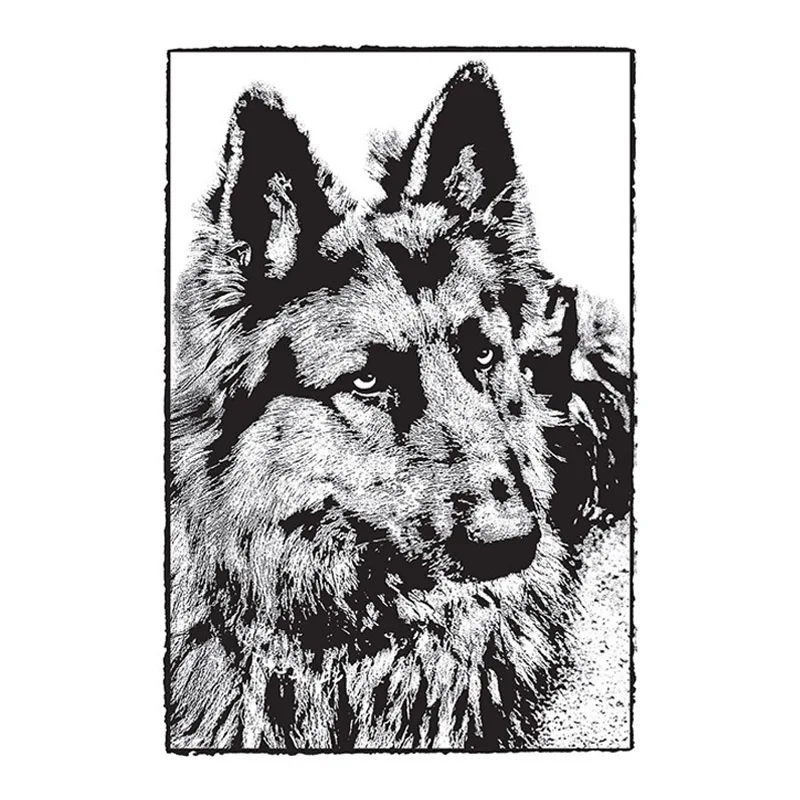 

Clear Stamps Ferocious Wolf Cool Animal Piercing Eyes For DIY Scrapbook Photo Album Craft Card 2021 New