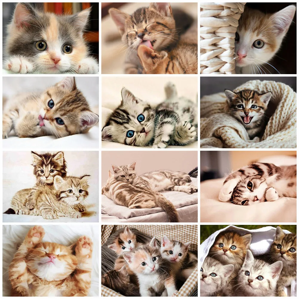 

MomoArt Diamond Embroidery Cat 5D DIY Diamond Painting Full Square Drill Animal Cross Stitch Wall Art Mosaic Kits Needlework