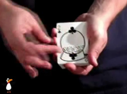 

Snowstorm by Jay Sankey Magic Trick