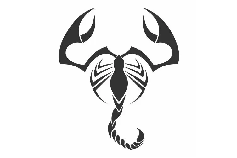 Наклейки на автомобиль со съемной росписью рептилии FA702 | Автомобили и мотоциклы