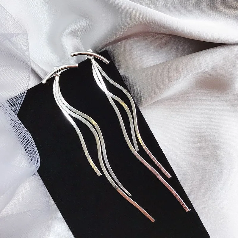 

Ladies Long Tassel Pendant Earrings Retro Hip Hop Rock Simple Personality Snake Bone Earrings Party Engagement Jewelry Gift 2021