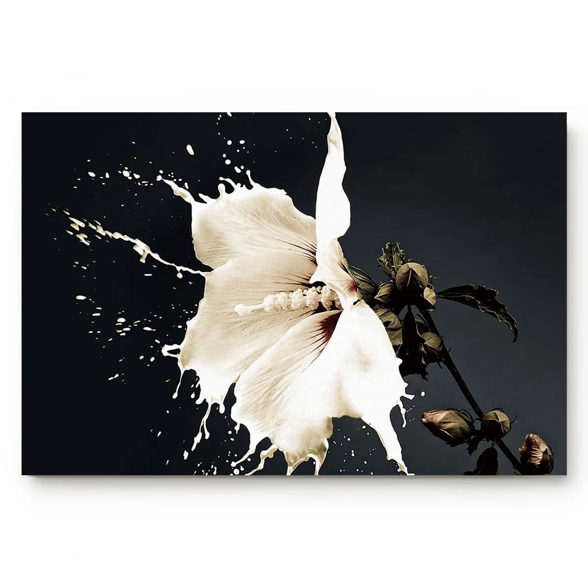 Белые цветы и молоко брызги на черном фоне декор для ванной комнаты дверные