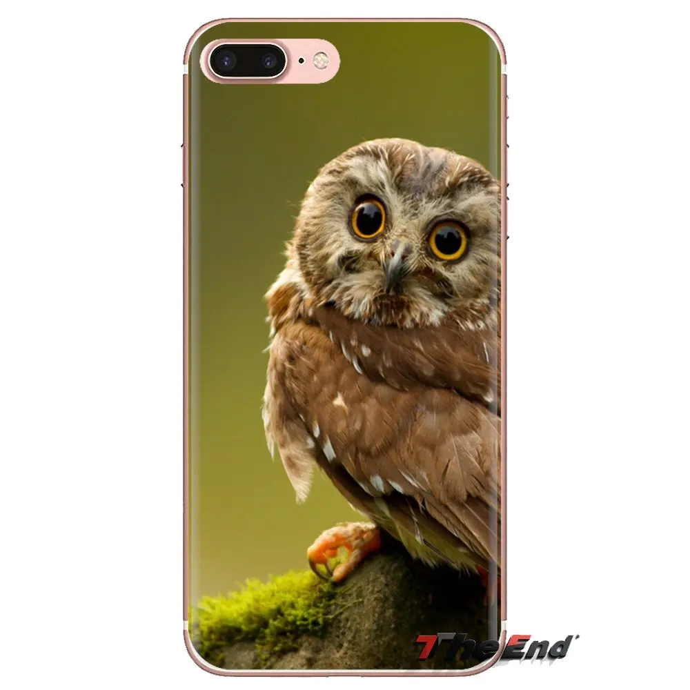 Мягкие прозрачные чехлы для Xiaomi Redmi 4A S2 Note 3 3S 4 4X5 Plus 6 7 6A Pro Pocophone F1 Cool Owl |