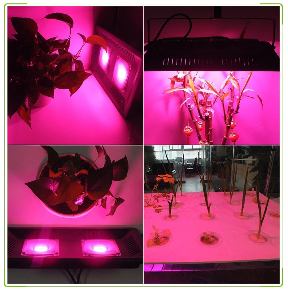 COB полный спектр светодиодный Grow светильник 300W рост потолочные светильник Водонепроницаемый Фито лампа для комнатных растений Growbox гидропоники