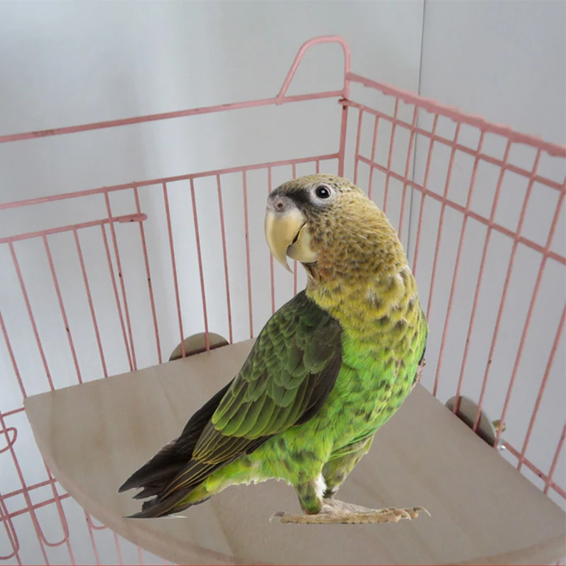Деревянная платформа для прыжков хомяков птиц попугаев домашних животных