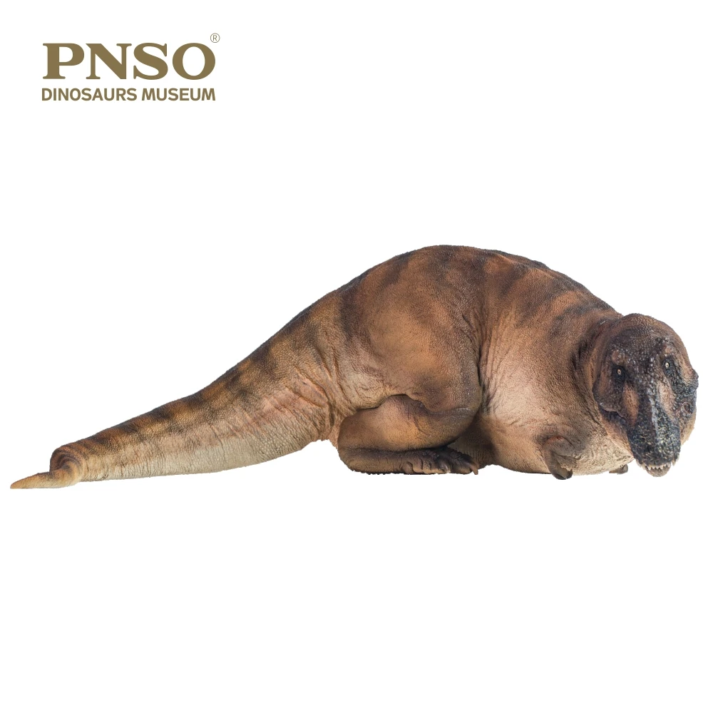 PNSO-dinosaurio Museo de la serie: Andrea el tiranosaurio REX 1:35, modelo de arte cient&iacute;fico-5