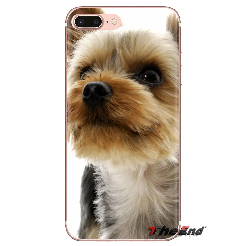 Силиконовые чехлы для телефона с надписью &quotЯ люблю мою Йоркширский терьер