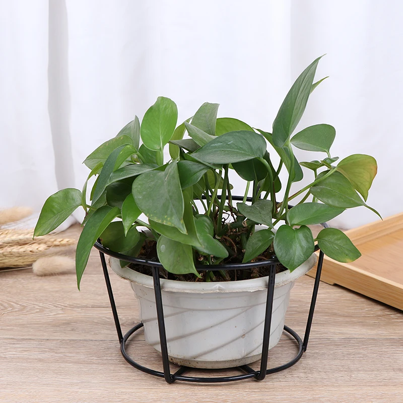 Новинка подвесные железная стойка для растений на балконе круглая цветочных