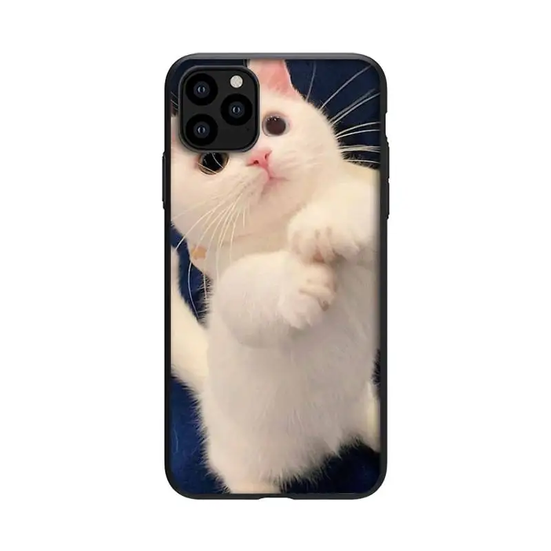 

Funny Animal Cat Phone Case For Black-Iphone 5s 6 6s 7 8 11 12 X Xs Xr Pro Plus Max Mini Fundas Cover