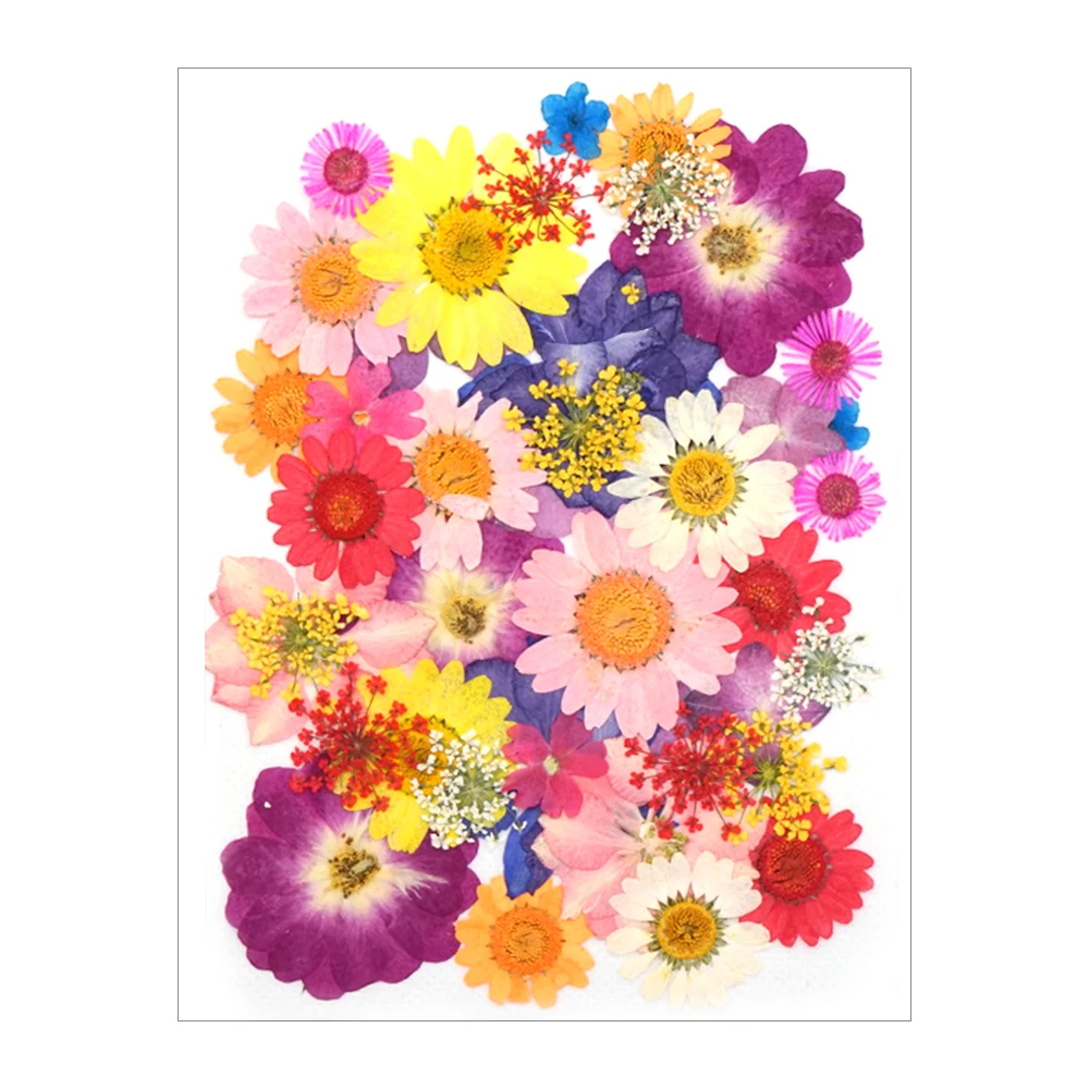 Из хрустальной эпоксидной наполнитель для сухой в виде цветочных лепестков