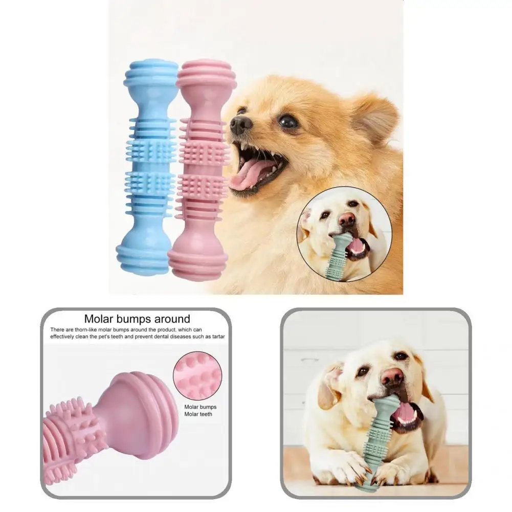 

Pet Molar Toy Compact Portable Teeth Care Dog Grinding Stick Toy Pet Toys Dog Chew Toy Pet Chew Toy