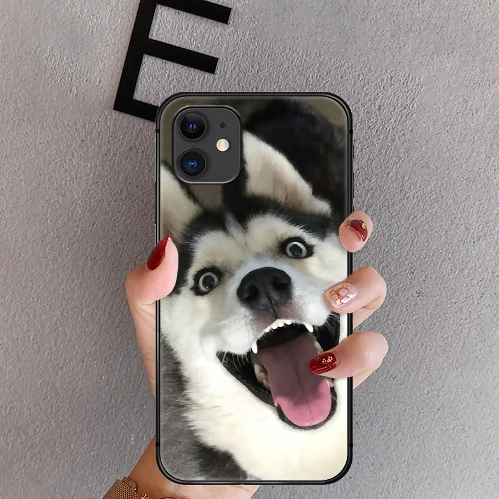 

Husky Dog Cool Cute Phone Case Cover For Iphone 6 6S 7 8 11 12 Se 2020 X Xs Xr Pro Max Plus Mini Black Coque Silicone Phone case