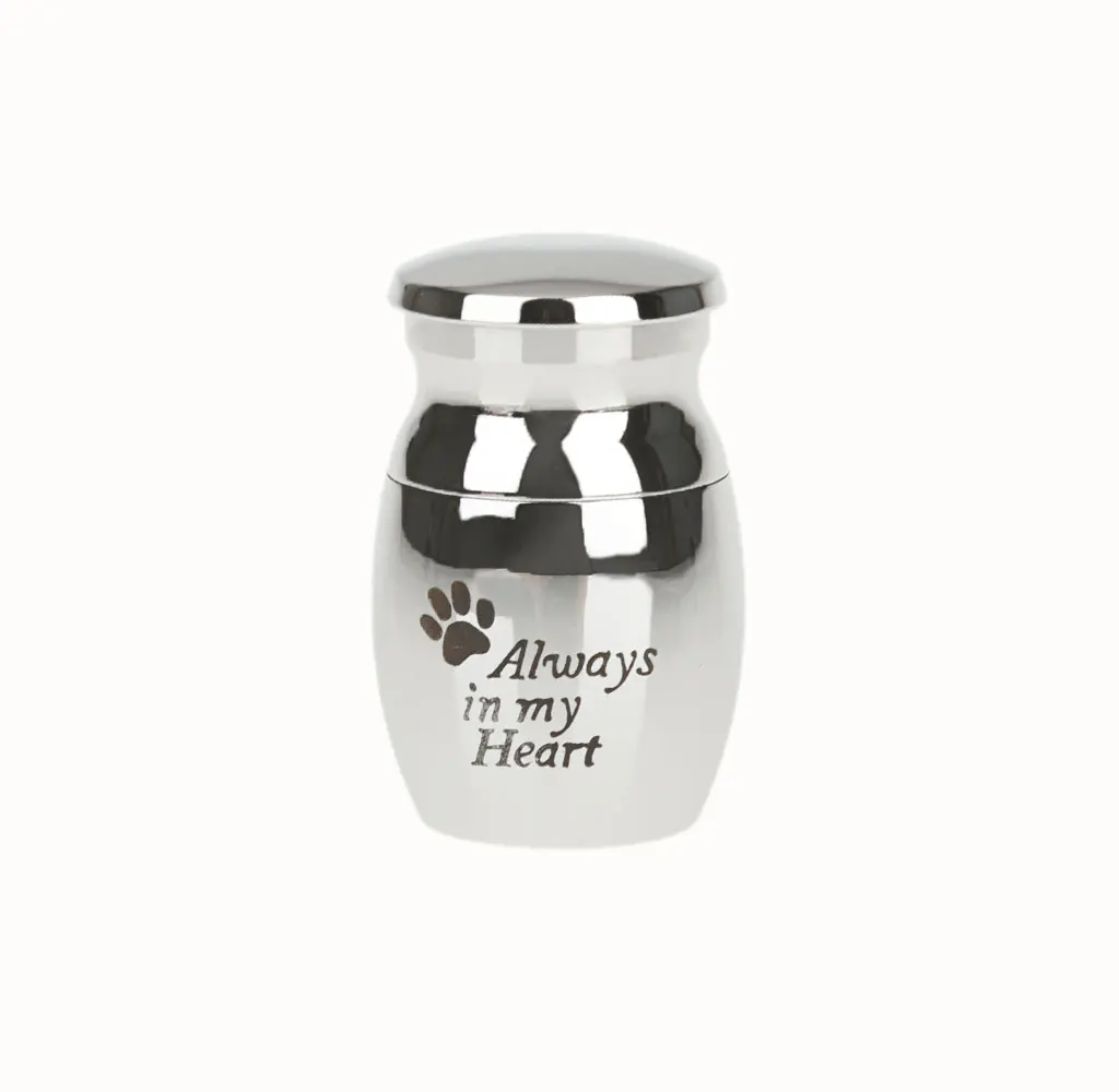 Pet Urn Keepsake Dog Cat Memorial Ashes Jar with Always in My Heart | Украшения и аксессуары