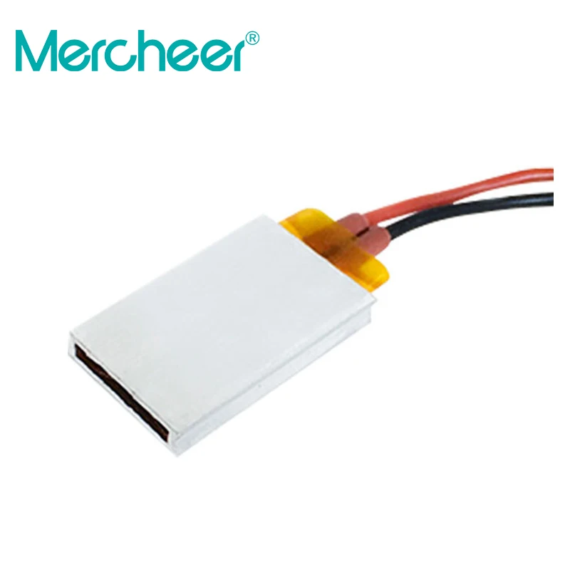 12V 24V48V 220V 110V термостатический нагревательный элемент Керамический PTC инкубатор