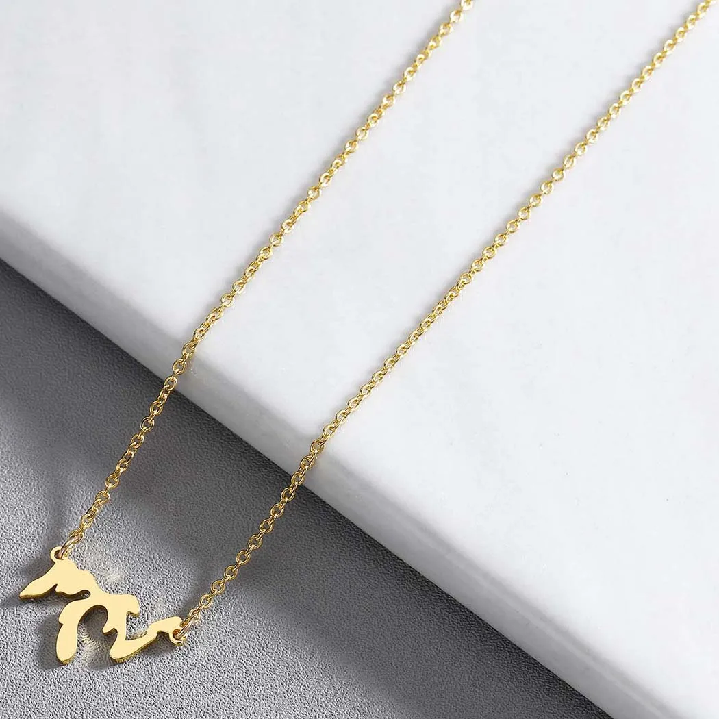 Chandler Great Lakes Map Necklace Rose Gold Dainty Geometry Link Chain Statement Small Pendant Memory Birthday Gifts Wholesale | Украшения