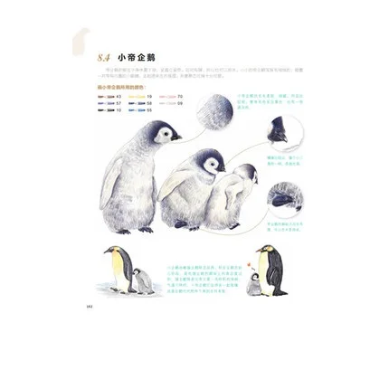

Chinese pencil drawing book Cute Animals color pencil painting textbook Tutorial art book