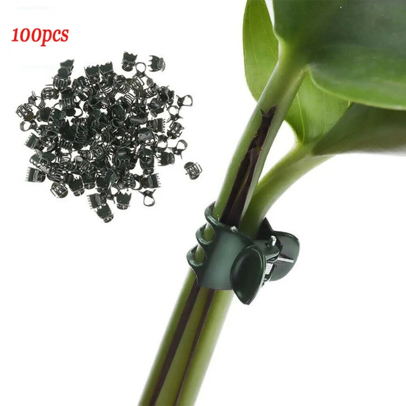 

100PCS Plastic Plant Support Clips Stem Clip Vine Support Vegetables Flower Tied Bundle Branch Clamping Tools Garden Supplies