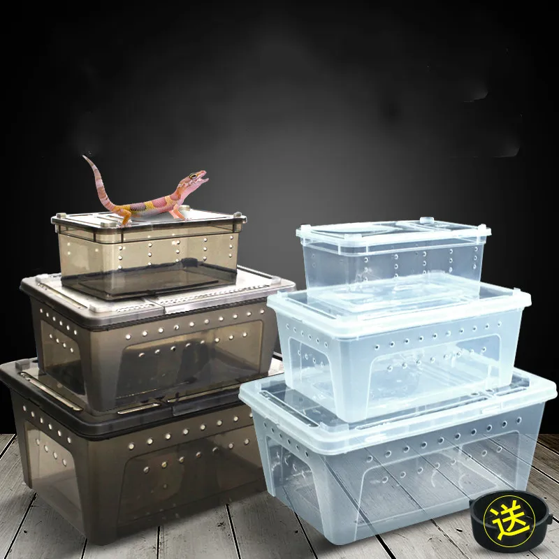Ящик для разведения животных 1 шт. лазания паук лягушка шелкопряд коробка детей
