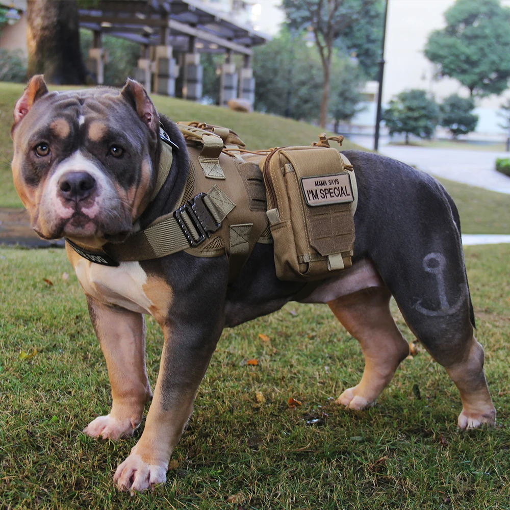 

RubRab Tactical Dog Harness Vest Military Working Training Molle Vest Metal Buckles Loop Panels For Dogs Walking Hiking Hunting