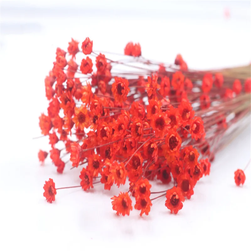 

50pcs Natural Simulation Flowers Imported Ins Dried Flower Bouquet Real Happy Flower Shooting Props Sticky Material Decorative