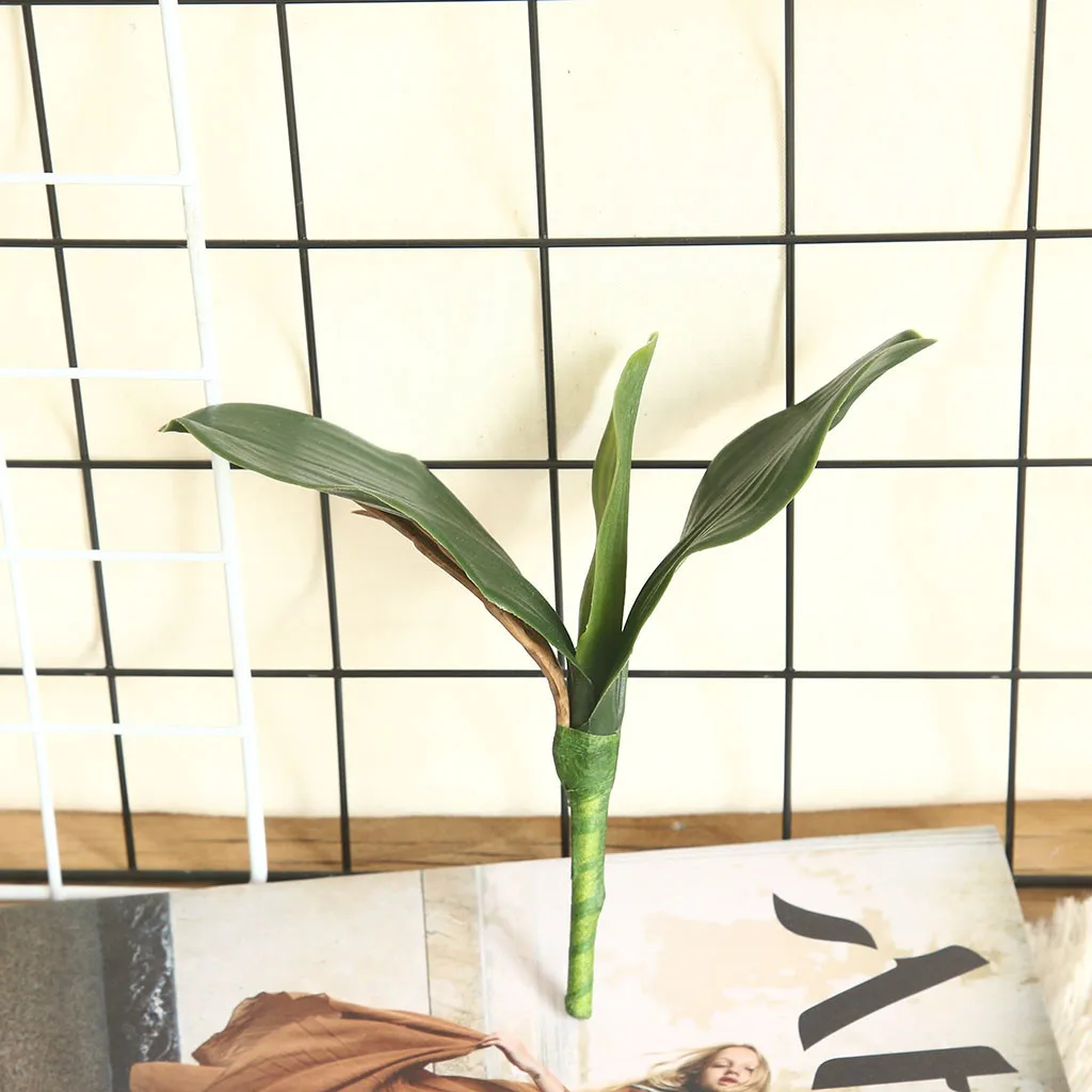 Зеленые листья для украшения домашней вечеринки фаленопсиса Орхидея