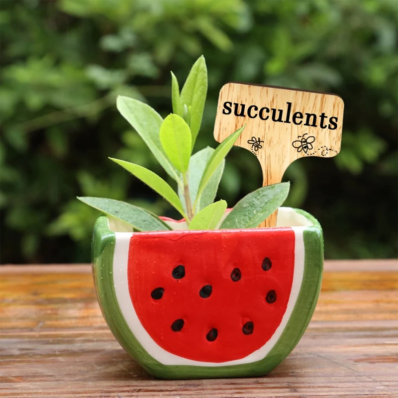 

20pcs Labels Wooden Bamboo Signs Flower Cards Creative Gardening Cards Gardening Succulents Labels S7A7310