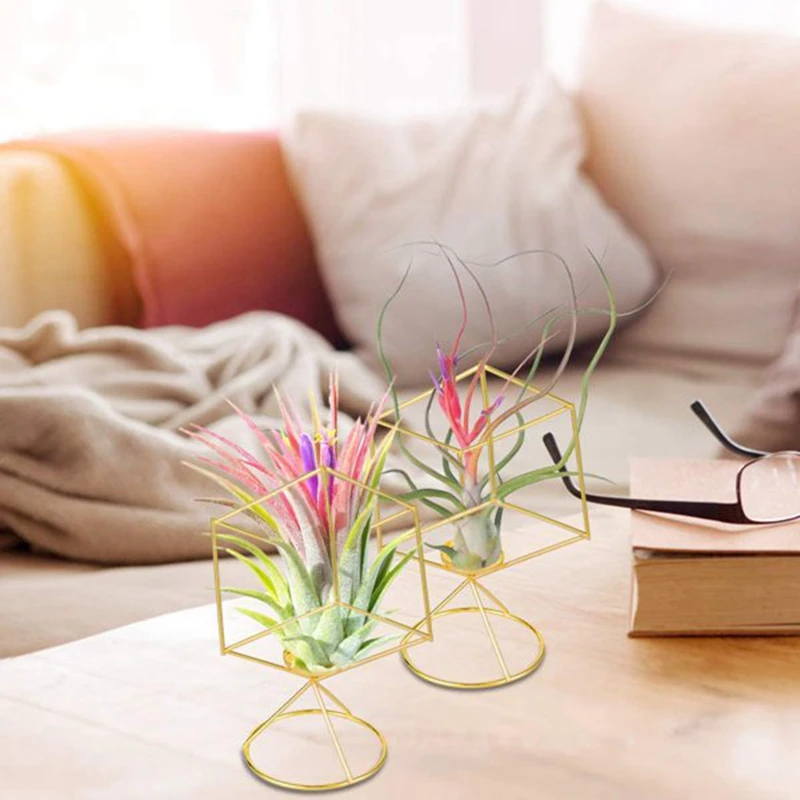 Air Plant Holder 4 Pack Tillandsia Plants Stand Hanging Containers Display Racks for Home Decoration Gift | Мебель