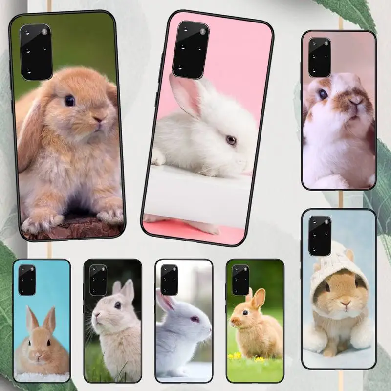 

Cute animal rabbit Phone Case For Samsung galaxy A S note 10 12 20 32 40 50 51 52 70 71 72 21 fe s ultra plus
